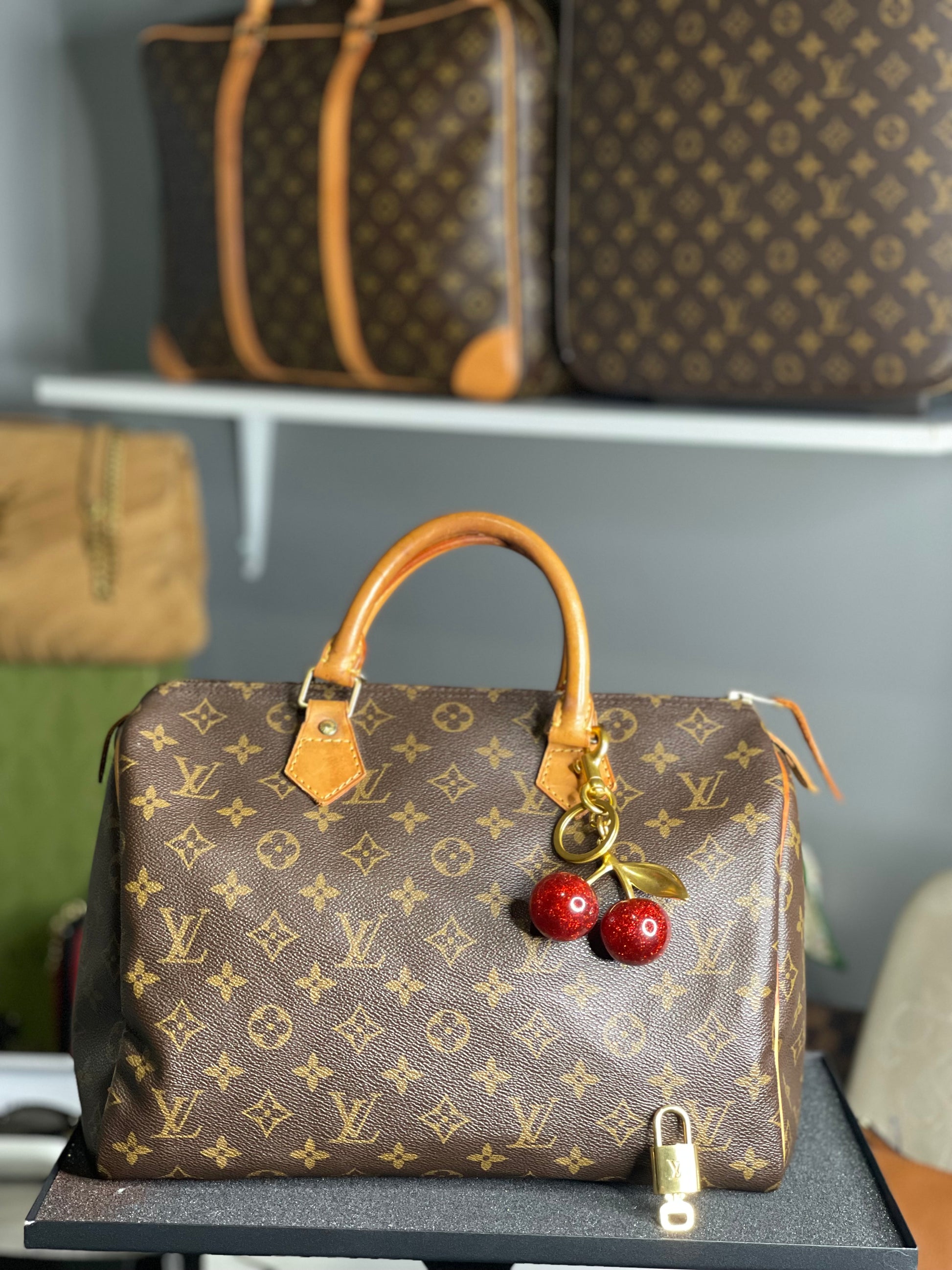 Louis Vuitton Speedy 30 LV Monogram Satchel Bag