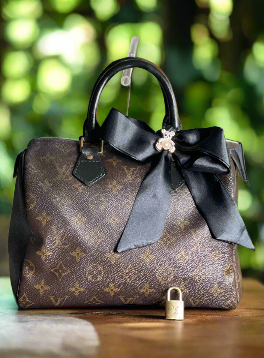 Louis Vuitton LV Hand Bag Speedy 25 Brown Monogram