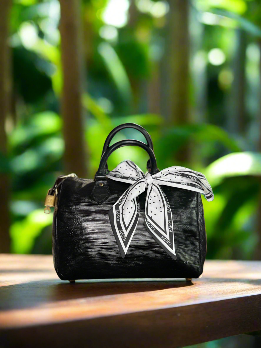 Louis Vuitton LV Hand Bag Speedy 25 Black Epi