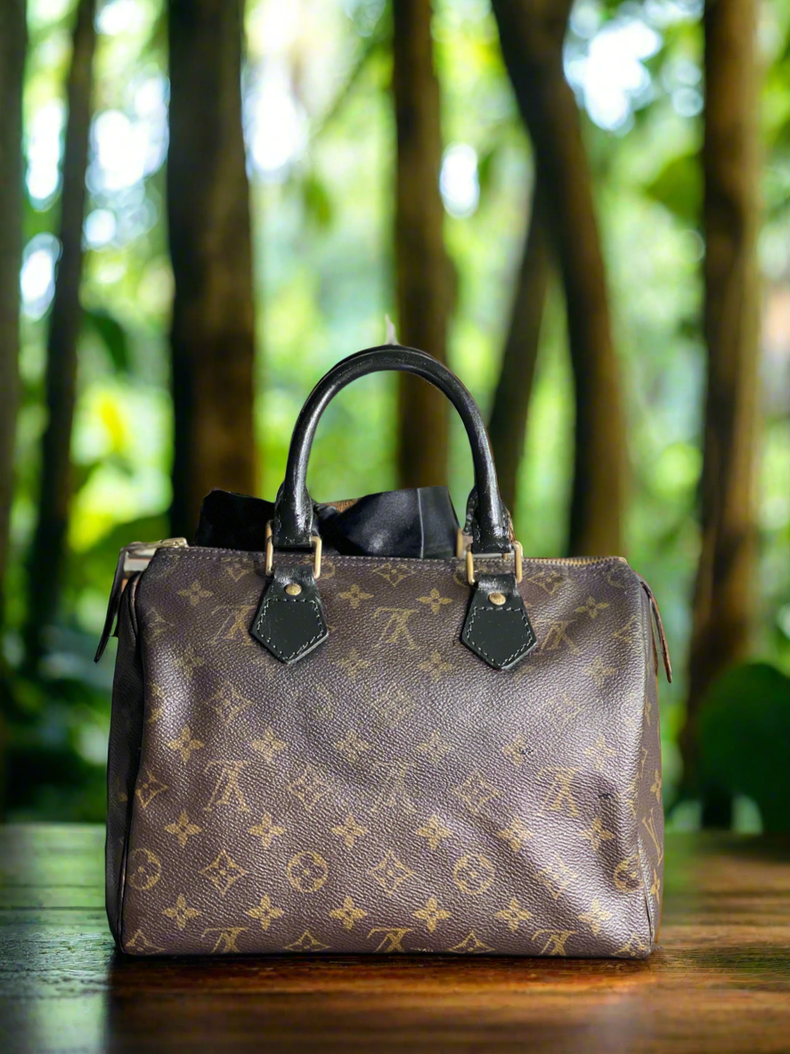 Louis Vuitton LV Hand Bag Speedy 25 Brown Monogram