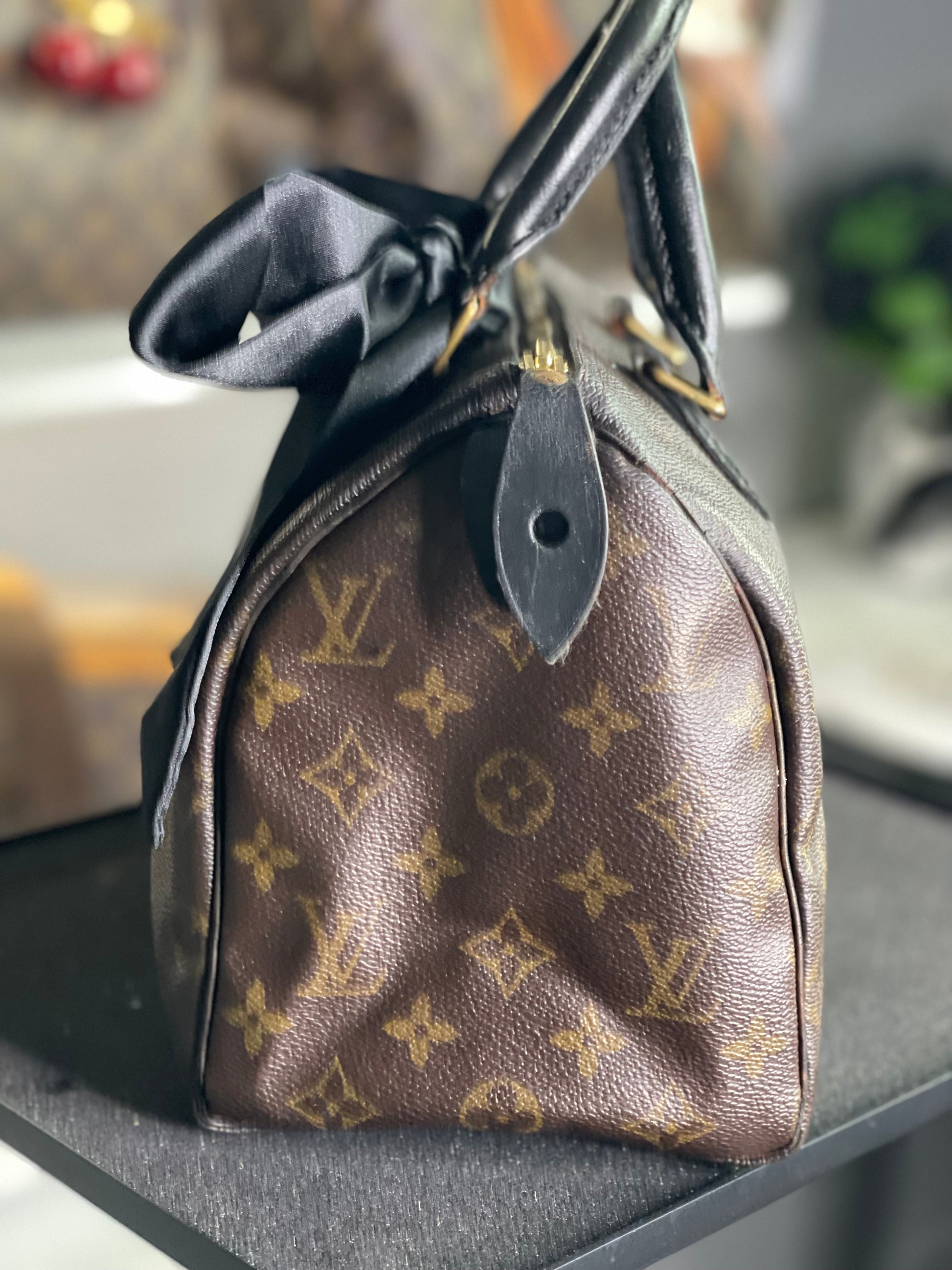 Louis Vuitton LV Hand Bag Speedy 25 Brown Monogram