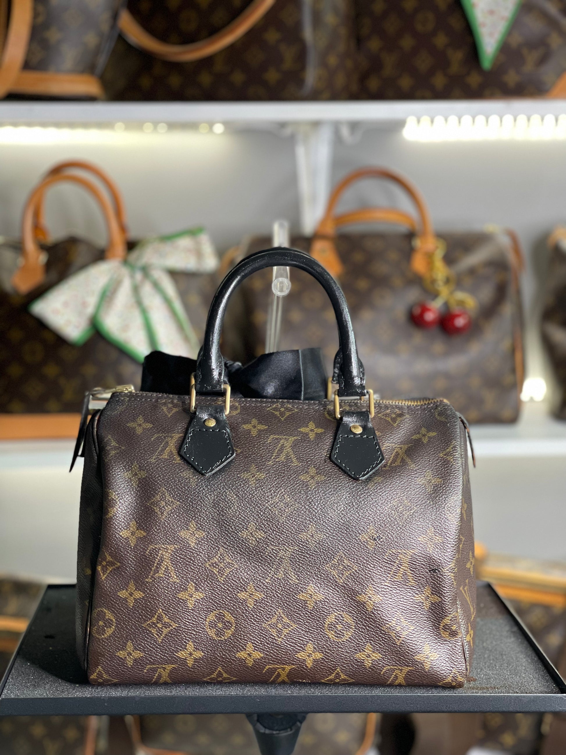 Louis Vuitton LV Hand Bag Speedy 25 Brown Monogram