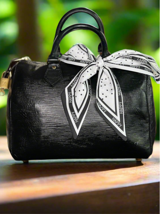 Louis Vuitton LV Hand Bag Speedy 25 Black Epi