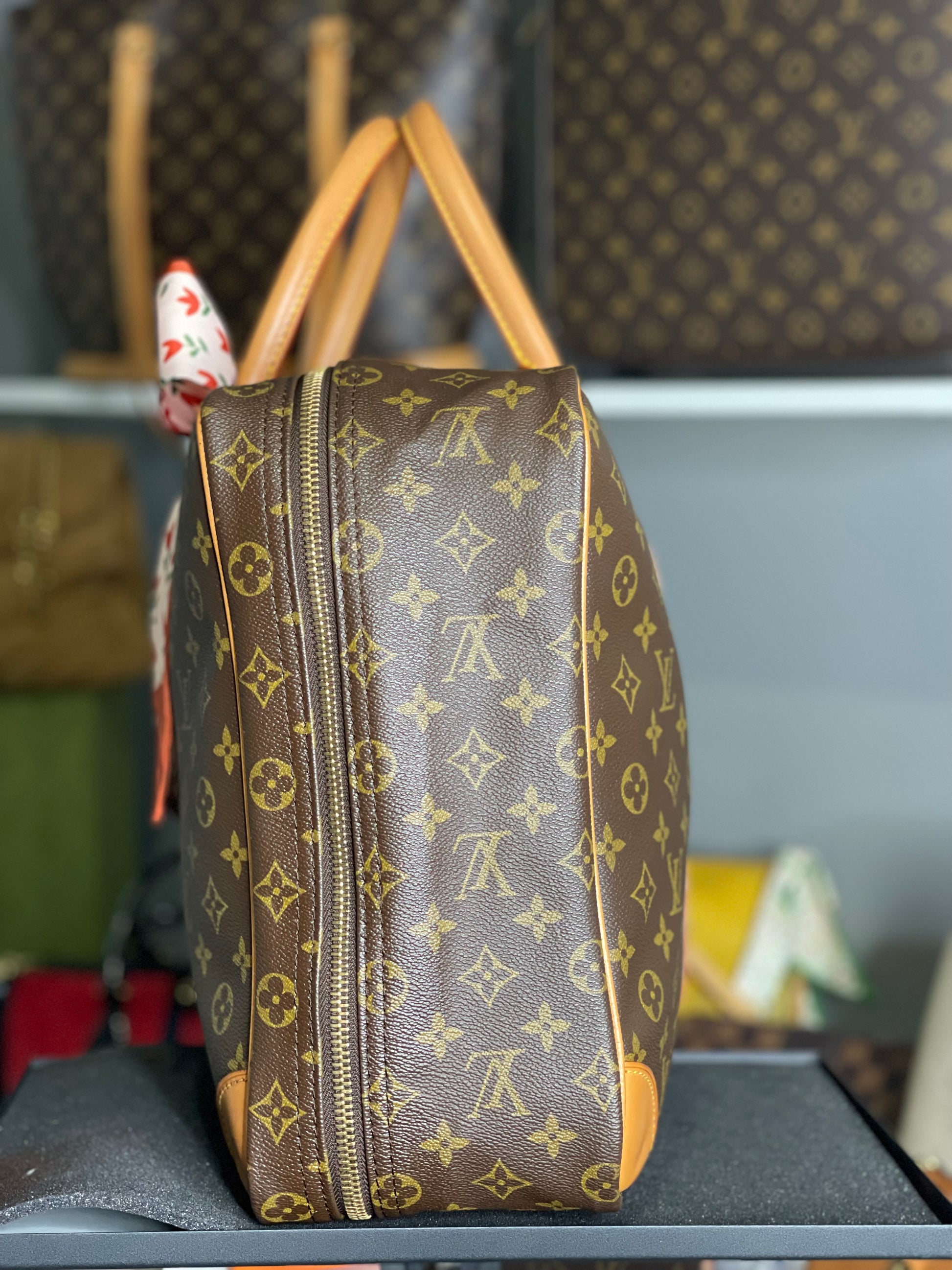 Louis Vuitton LV Hand Bag Sirius 50 Monogram