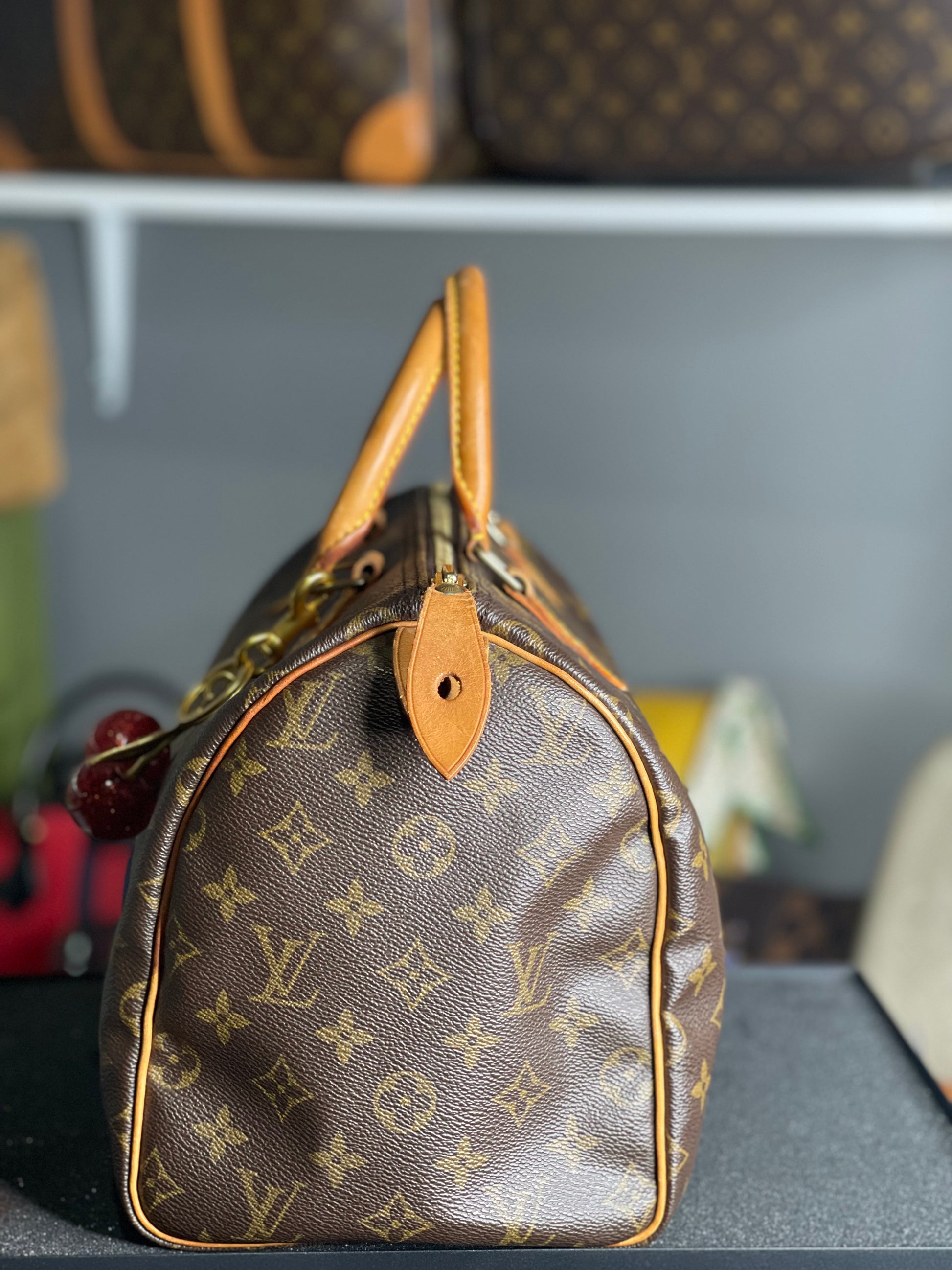 Louis Vuitton Speedy 30 LV Monogram Satchel Bag