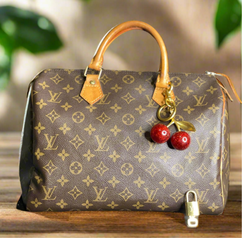 Louis Vuitton Speedy 30 LV Monogram Satchel Bag
