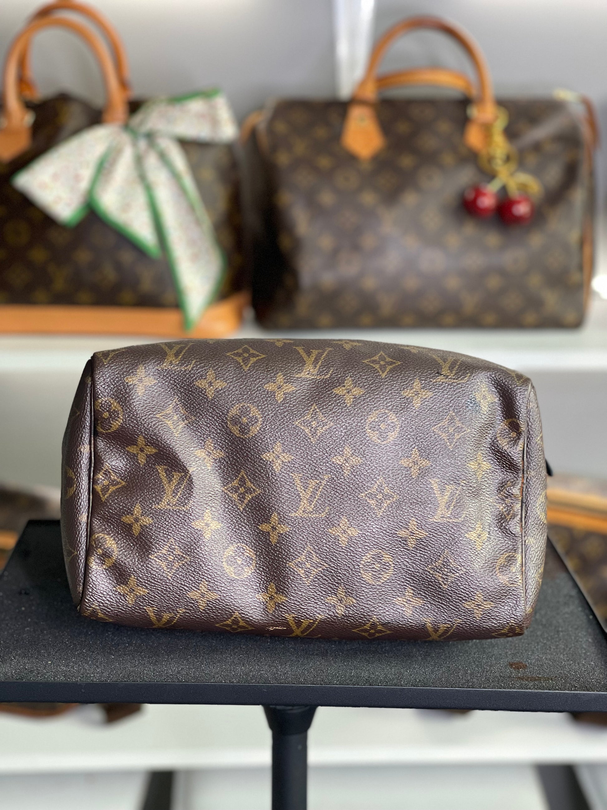 Louis Vuitton LV Hand Bag Speedy 25 Brown Monogram