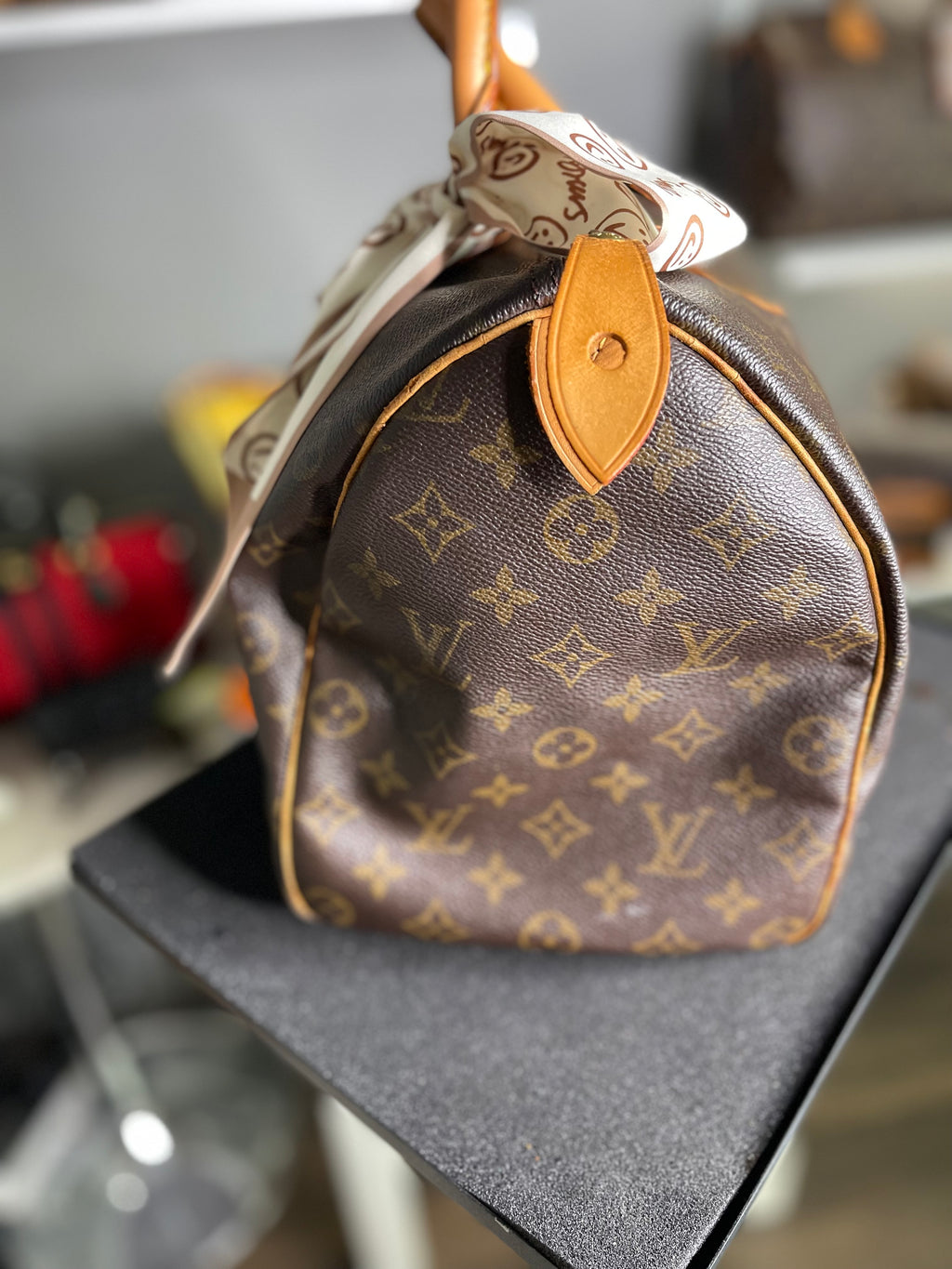 Louis Vuitton LV Hand Bag Speedy 35 Vintage