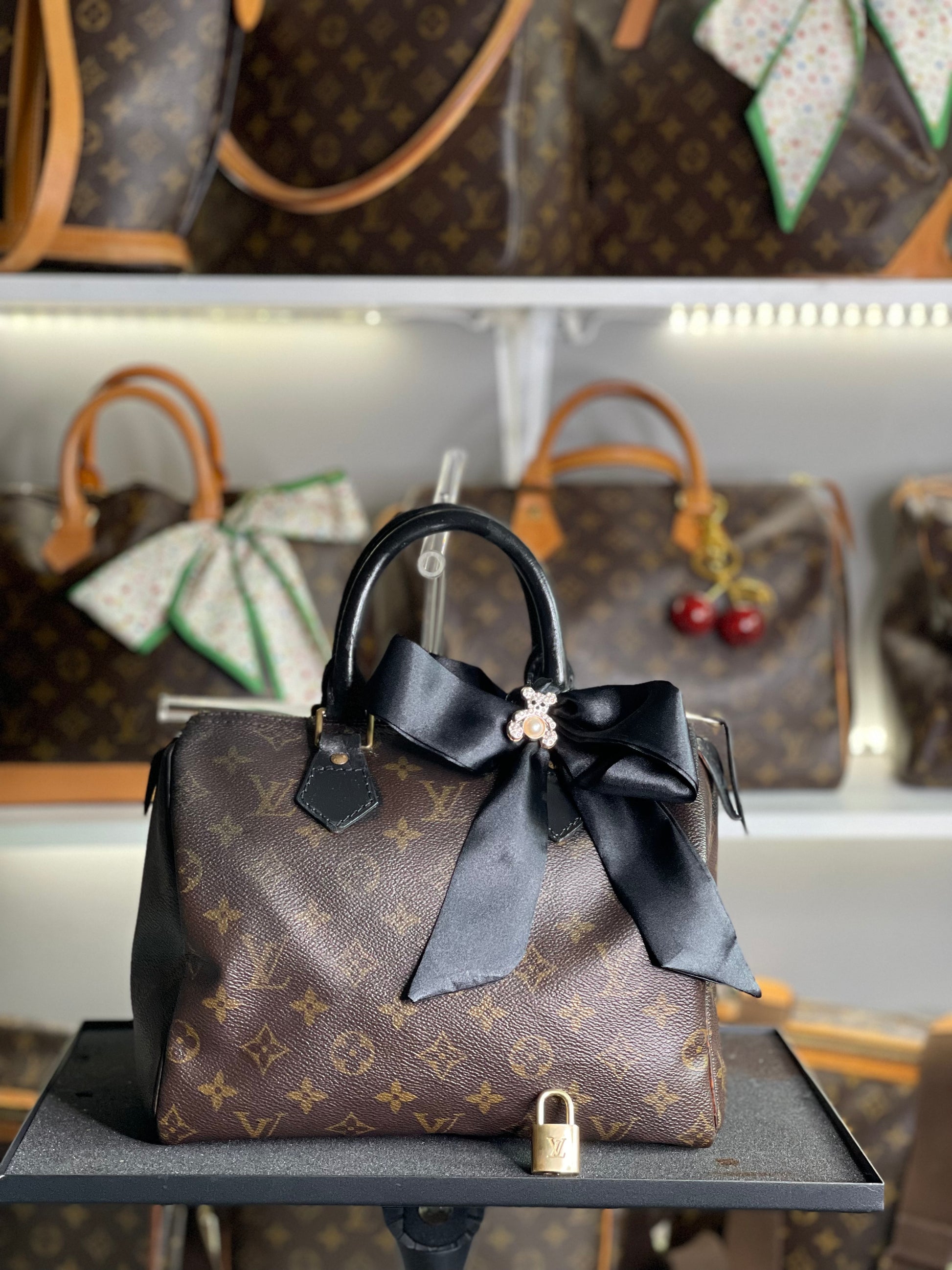 Louis Vuitton LV Hand Bag Speedy 25 Brown Monogram
