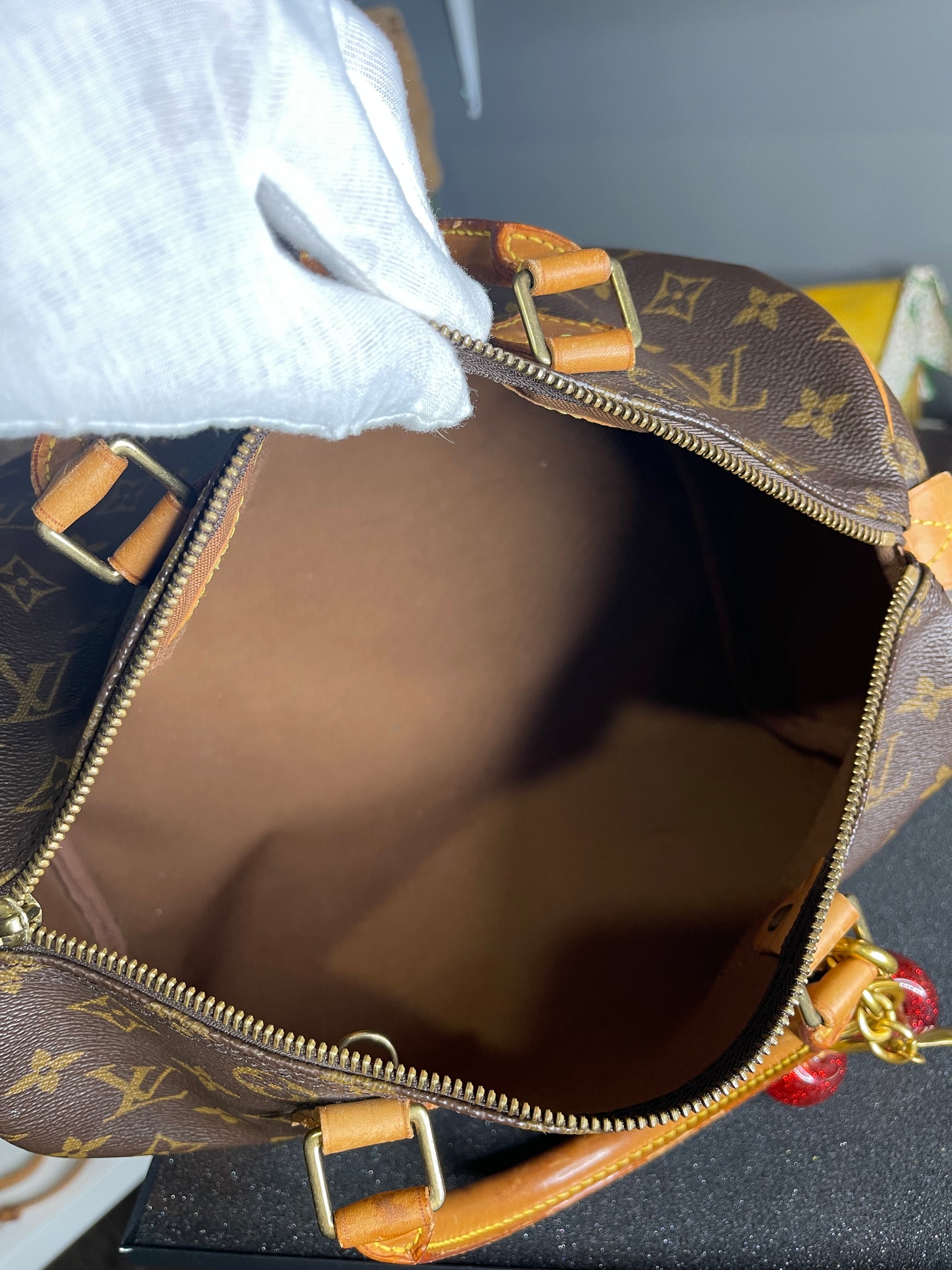 Louis Vuitton Speedy 30 LV Monogram Satchel Bag