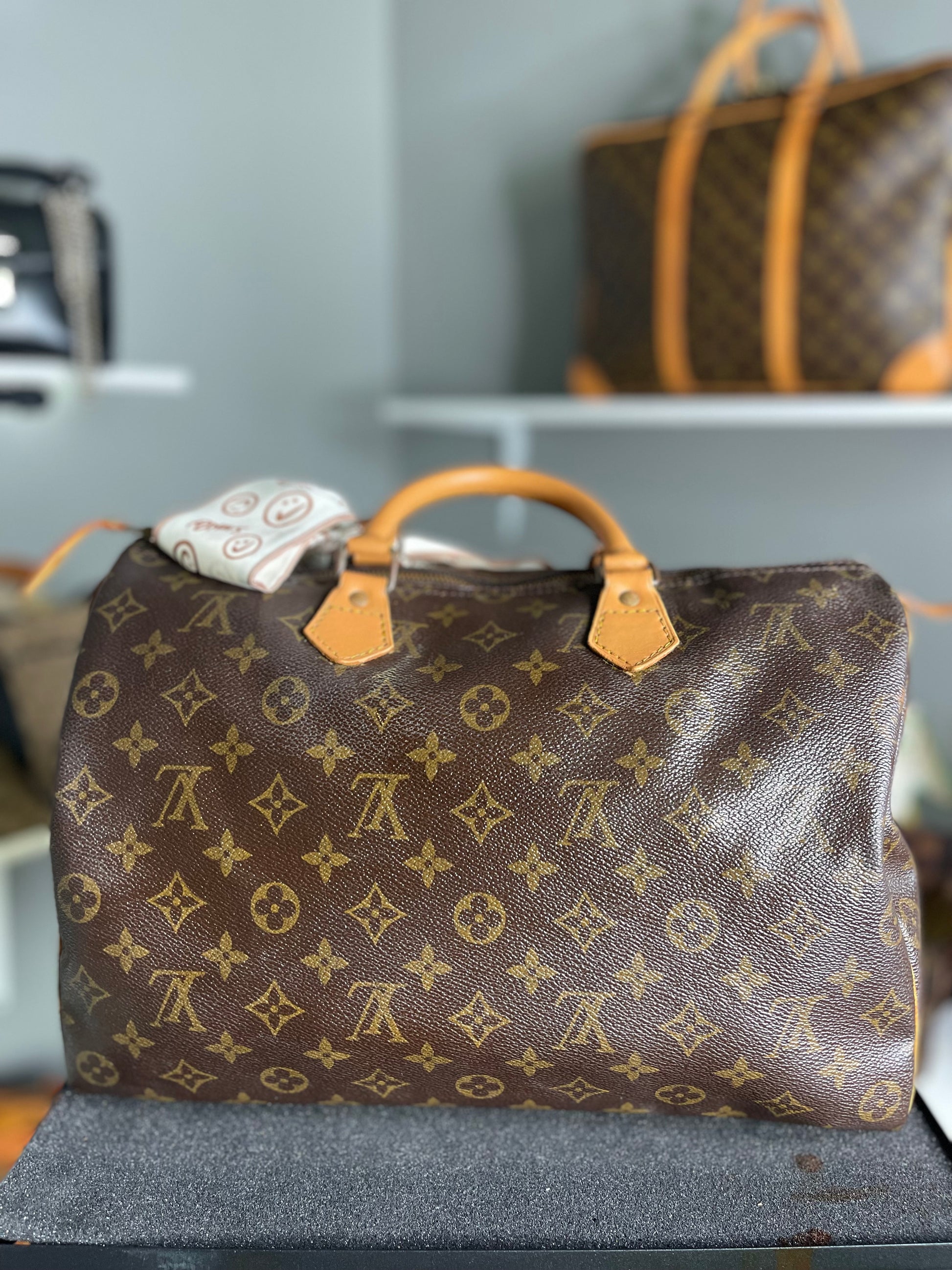 Louis Vuitton LV Hand Bag Speedy 35 Vintage