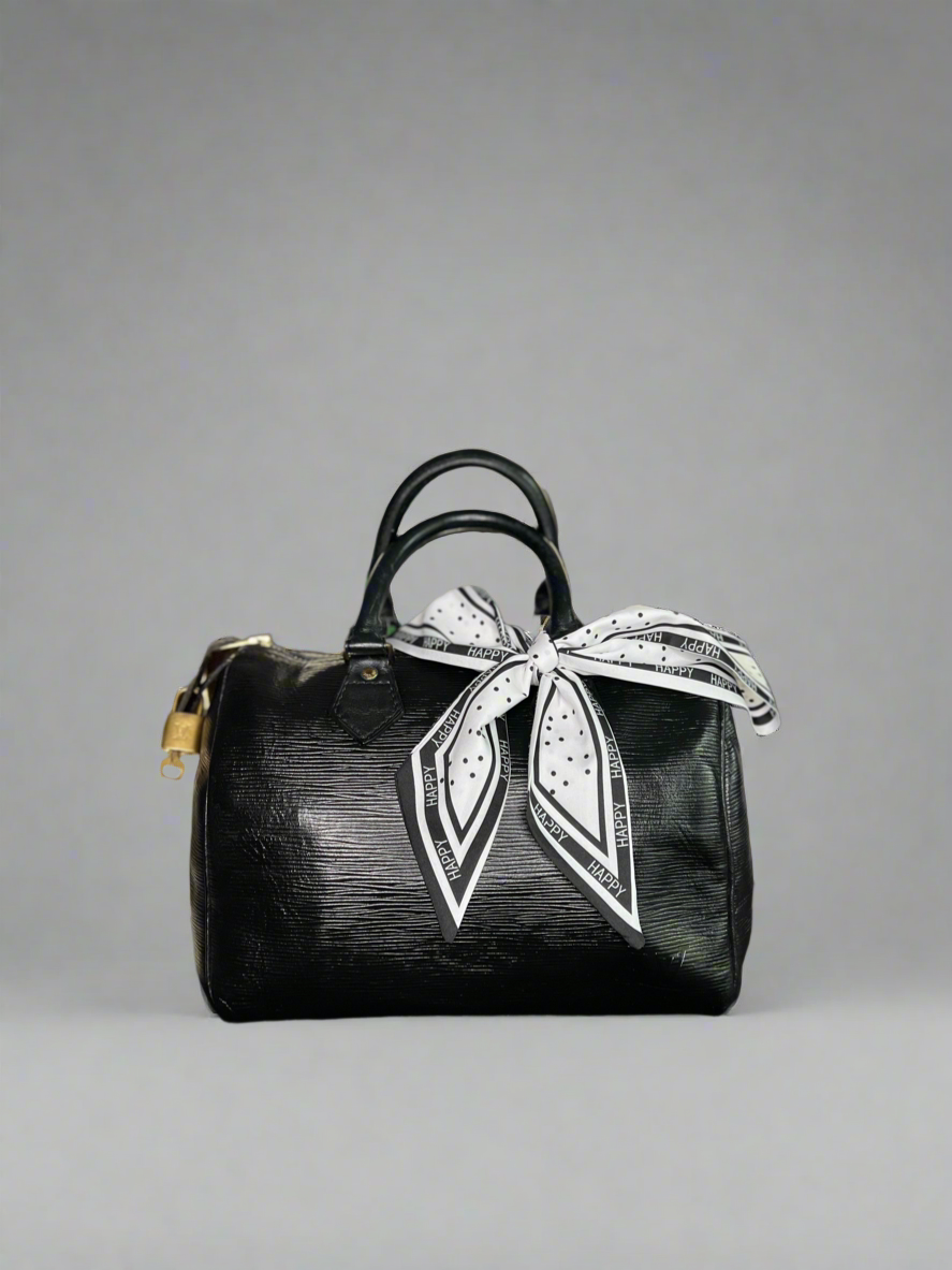 Louis Vuitton LV Hand Bag Speedy 25 Black Epi