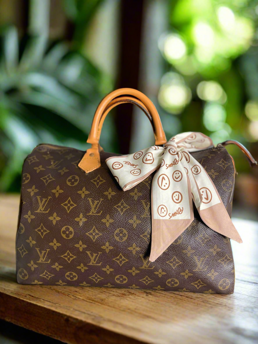 Louis Vuitton LV Hand Bag Speedy 35 Vintage